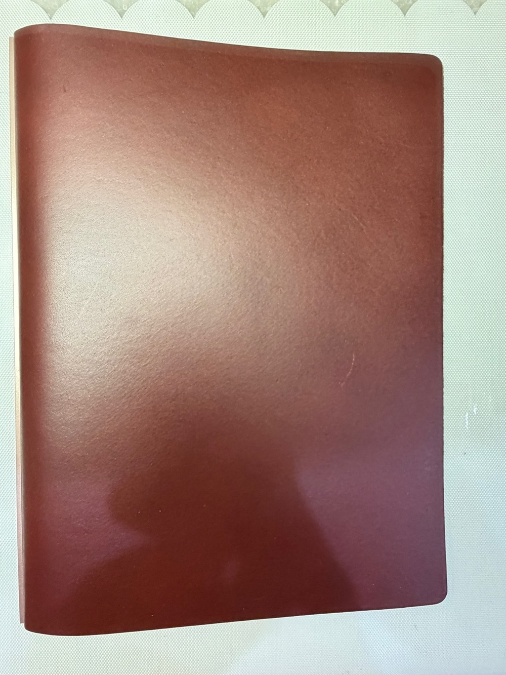 Plotter A5 Liscio Leather 6-ring Binder